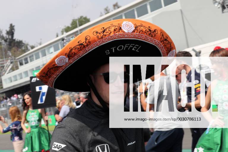 Formel 1, GP Mexiko, vor dem Start 29.10.2017 - Stoffel Vandoorne (BEL) McLaren MCL32 Mexican Grand Prix, Mexico City 26 - 29 October 2017 29.10.2017 - Stoffel Vandoorne (BEL) McLaren MCL32