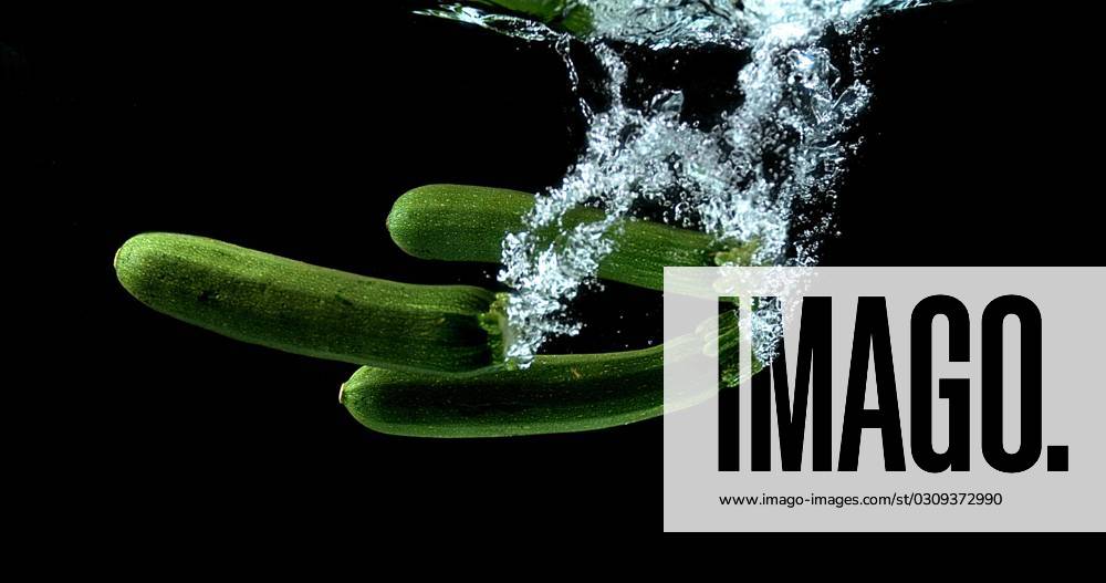 Lange Zucchini Cucurbita Pepo , ins Water Falling Vegetables before black Background