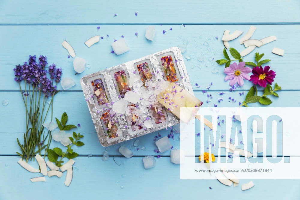 Homemade lemonade ice pops with herbs, edible flowers and coconut flakes, GWF07840