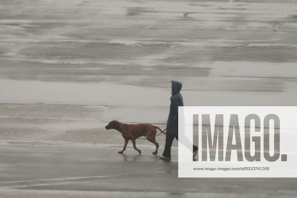 Passers-by holidaymaker with dog in the rain for walking seen on 09 10 2023 in Cuxhaven