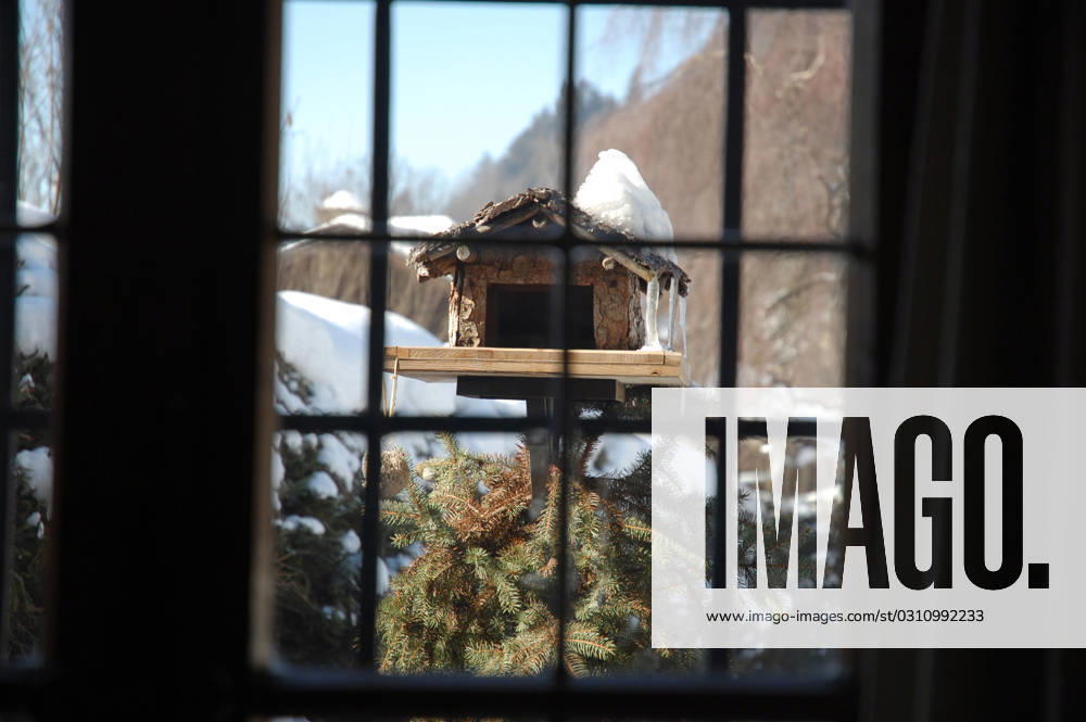 Shot of birdhouse through window in austrian winter. , 1195980.jpg, animal, beautiful, bird, birdhouse, care, cold, eat, feed, food, frost, garden, home, house, ice, leaves, little, nature, outdoor, roof, season, seed, small, snow, tree, winter, wood, wooden, mountain, mountains, window, RECORD DATE NOT STATED
