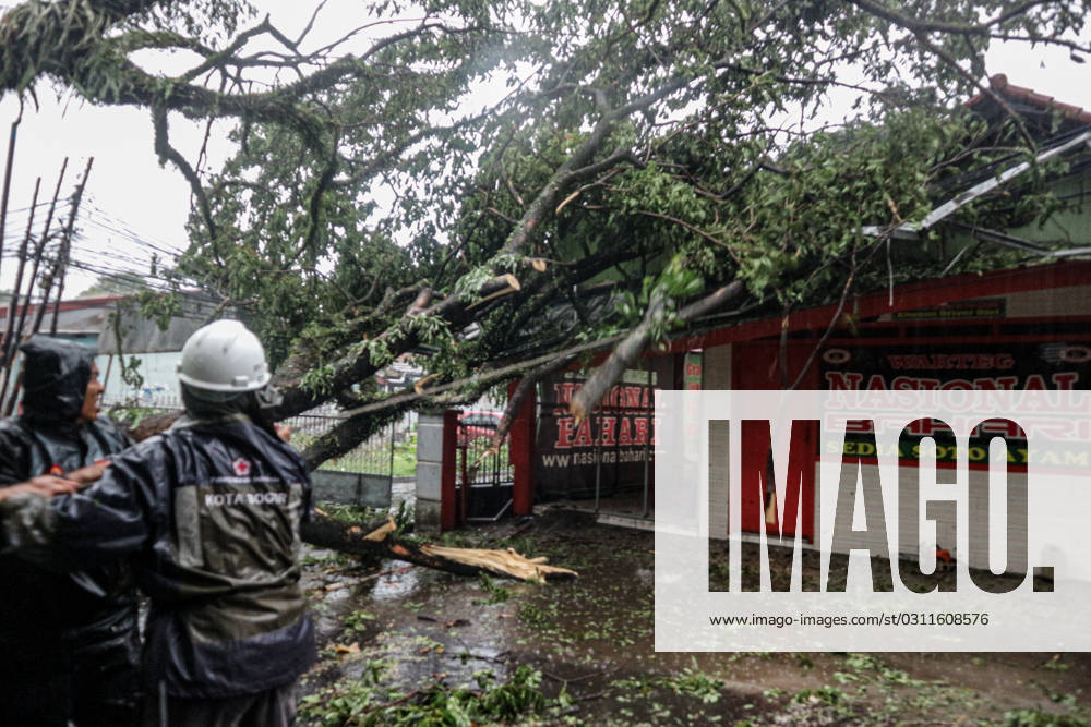 Bad Weather In Indonesia A tree fell on a restaurant in Bogor, West Java, Indonesia, Tuesday (31 10). Heavy rains accompanied by strong winds have knocked down several trees in Bogor, West Java, Indonesia. Bogor Indonesia