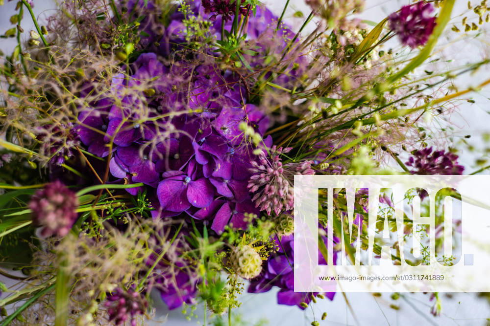 Summer wild flowers in bouquet Tbilisi, Tbilisi, Georgia R_LSQHTY220617-999102-01