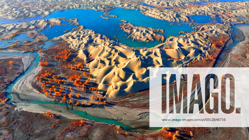 Populus Euphratica Forest Bloom in Bazhou BAZHOU, CHINA - NOVEMBER 4, 2023 - Aerial photo taken on Nov 4, 2023 shows the blooming Populus Euphratica Forest in the Luoburen village scenic area in Bazhou, Northwest China s Xinjiang Uygur autonomous region. The Luoburen village scenic area is a collection of desert, populus euphratica, rivers, lakes and other natural landscapes. Bazhou Xinjiang China