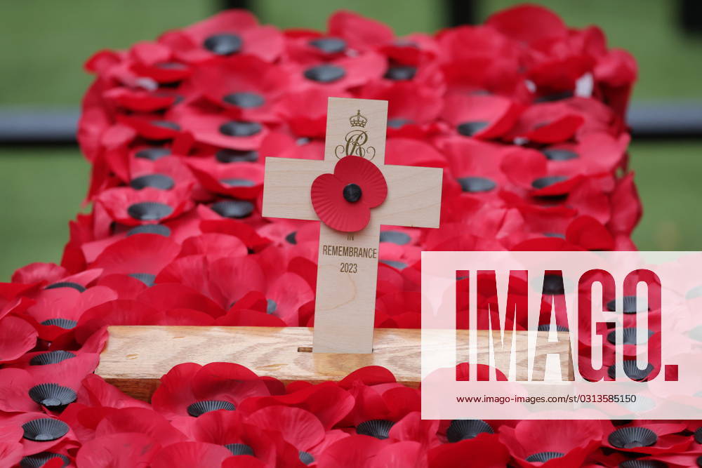 London, United Kingdom. The Queen attends the 95th year of the Field of Remembrance. Her Majesty The Queen attends the 95th year of the Field of Remembrance at Westminster Abbe, London.