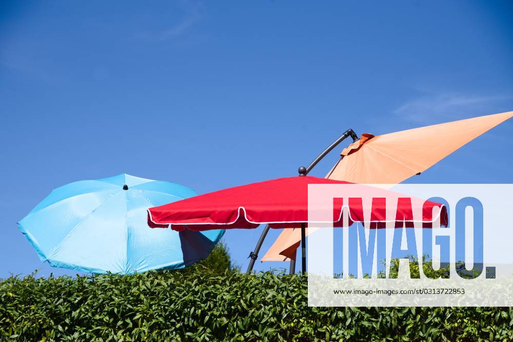 IMAGO Creative, Jahreszeit Sommer, Hitze bunte Sonnenschirme im Garten als Schattenspender gegen starkes Sonnenlicht bunte Sonnenschirme im Garten als Schattenspender gegen starkes Sonnenlicht