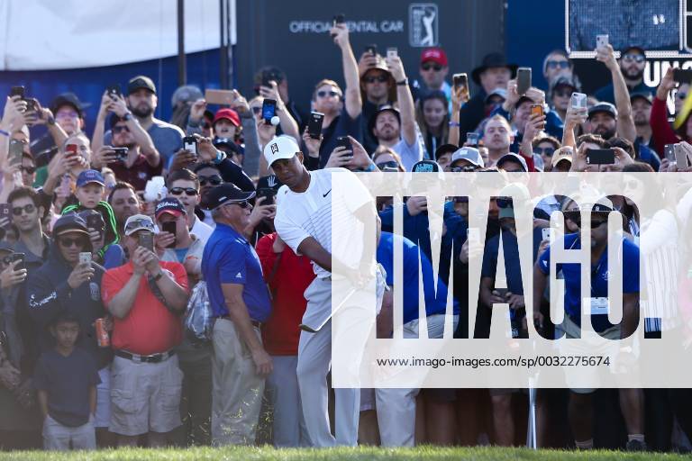 San Diego, California, United States - Tiger Woods chips on to the 8th green during the third round of the 2018 Farmers Insurance Open at Torrey Pines GC. Golf 2018: Farmers Insurance Open - Round 3 - ZUMAw109 20180127_zap_w109_093