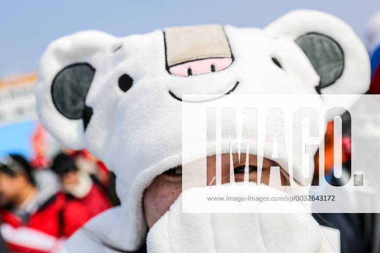 A fan wearing a costume of the 2018 Winter Olympic Games Olympische Spiele Olympia OS mascot Soohorang during the men s freestyle skiing ski halfpipe event at the 2018 Winter Olympic Games at Phoenix Snow Park. Sergei Bobylev TASS TS0752A0