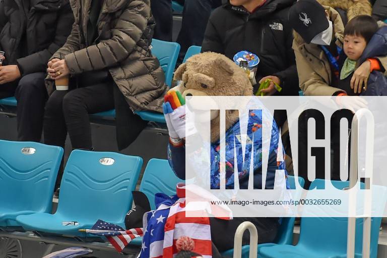 A Team USA fan dressed in a bear costume prays during the women s gold medal hockey game with the U.S.A. defeating Canada 3-2 in a shootout during the 2018 Winter Olympic Games Olympische Spiele Olympia OS at the Gangneung Hockey Center on February 22, 2018 in PyeongChang, South Korea. (Photo by Ken Murray Icon Sportswire) OLYMPICS: FEB 22 PyeongChang - Day 15 Icon18022215122