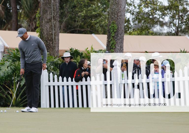 Palm Harbor, Florida, U.S. - Tiger Woods is on the practice green at the Valspar Championship 3 8 2018. He tees off for the first round at 12:46. Florida News - March 8, 2018 - ZUMAs70_ 82202896st