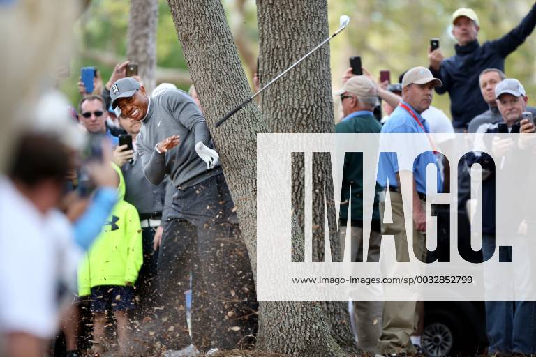 Palm Harbor, Florida, U.S. - DOUGLAS R. CLIFFORD Times .Tiger Woods uses an iron to escape an oak tree at the 16th hole while playing the Copperhead Course on Thursday (3 8 18) during the first round of the Valspar Championship at the Innisbrook Golf and Spa Resort in Palm Harbor. Florida News - March 8, 2018 - ZUMAs70_ 82206838st