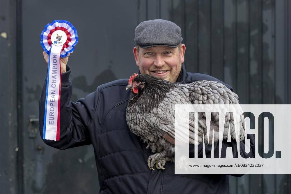 Der Europameister 2023 für Orpington-Hühner, Matthias Schmidt präsentiert sich mit einem Orpington-Huhn am Samstag, dem 11. November 2023 vor einem Stall in der Löhener Egge in Sprockhövel; der Rassegeflügelzüchter wurde in Frankreich dafür ausgezeichnet. Deutschland NRW Sprockhövel