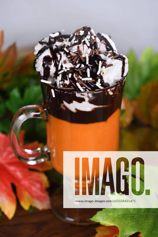 Pumpkin chocolate beverage with whipped cream and chocolate topping , 36086070.jpg, Pumpkin, chocolate, topping, whipped cream, cream, latte, dessert, autumn, smoothie, beverages, food, drink, cocktail, glass, flavor, taste, consumption, festivity, celebration, gourmet, tasting, saturated, transparent, portion, Buffet, Banquet, dinner, goblet, holiday, feast, Tipple, Fresh, Muddled, puree, Cocktail, sweets, fructose, pulp, organic, Dainty, homemade, Yummy, Buttercream, luncheon, brunch, lunch, vegetable, Edible, Vertically shot RECORD DATE NOT STATED