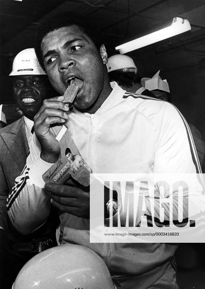 Muhammad Ali (USA) beißt herzhaft in seinen neuen Crisp Crunch Riegel - (ARK1978082164) Boxen Herren Boxsport 1978, Profiboxen, Schwergewicht, Aufmacher Einzelbild Lititz Boxen Herren Boxsport 1978, Profiboxen, Schwergewicht, Aufmacher Einzelbild Lititz