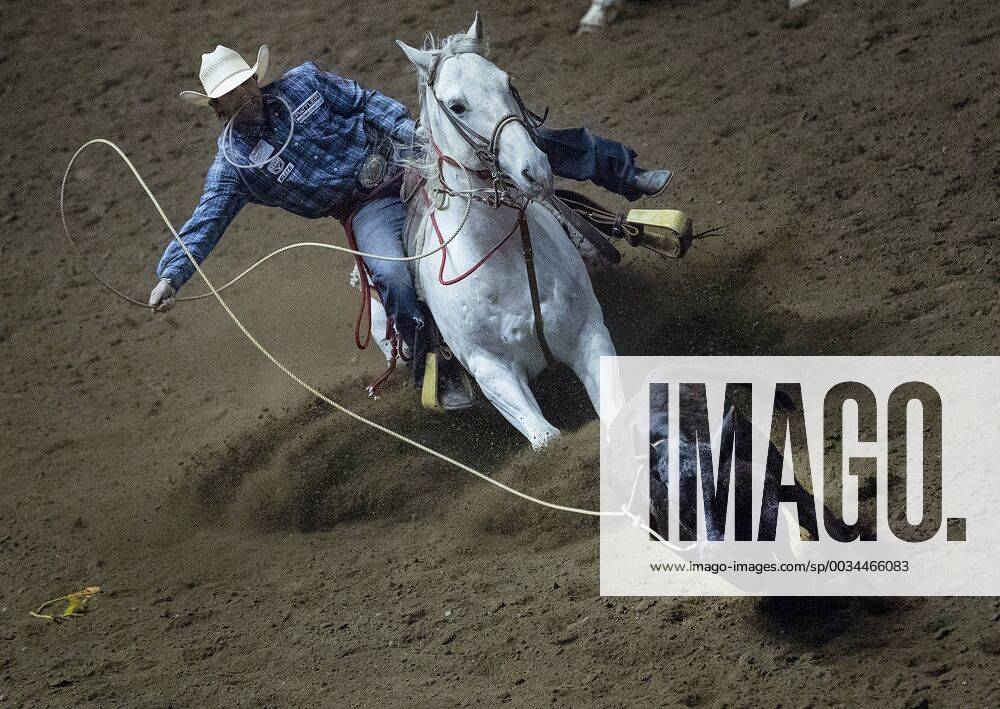 - SPORT April 29, 2018 - Falcon Heights, MN, USA - Cody Huber of Albia, Iowa competes in the Tie Down Roping competition at the PRCA Rodeo on Sunday, April 29, 2018 during the Minnesota Horse Expo at the Minnesota State Fair Grounds in Falcon Heights, Minn. PRCA Rodeo during the Minnesota Horse Expo - ZUMAm67_ 20180429_zaf_m67_098