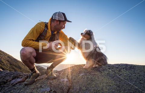 Dog paws his owners arm during sunrise in the mountains Dog, pet, lick, licking, pet ownership, pup, man, male, guy, Trail running, run, trail, scenic, White Mountains, New Hampshire, Mountains, Peaks, Peak, New England, Northeast US, Landscapes, scenery, landscape, beauty in nature, vista, outside, outdoor, outdoors, summer, warm, summer clothes, summer time, heat, summer heat, morning, early, start, day break, day, sun rise, rise, sun, sun burst