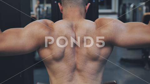 Back Workout Athlete muscular fitness male strong athletic man pumping up muscles workout bodybuilding muscular bodybuilder handsome men doing exercises in gym naked torso back, training, strength, sport, shoulder, power, muscular, muscle, lifting, heavy, handsome, fitness, fit, shape, workout, athlete, caucasian, active, bodybuilding, bodybuilder, gym, biceps, body, health, torso, steroids, strong, physique, shirtless, building, lifestyle, arms, exercising, indoor, sexy, weight, dumbbell, man, exercise, coach, pump, healthy, triceps, young, chest, sportsman, elevations, muscles, sportswear