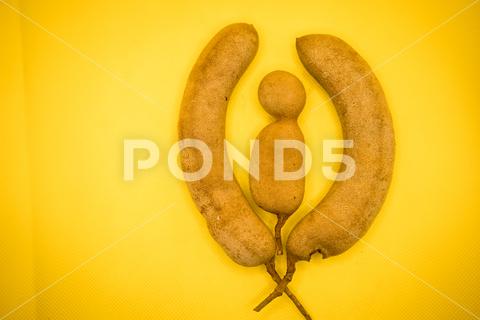 Three Tamarind known as Imli in India is placed in yellow background. It looks like a child in the middle with parents. abstract, asian, background, bean, black, brown, child, closeup, color, crop, delicious, detail, dry, eating, edible, food, fresh, freshness, fruit, grain, group, health, healthy, imli, india, ingredient, isolated, leaf, material, natural, nature, old, organic, parents, raw, ripe, seed, shell, sunlight, sweet, tamarind, tetul, texture, three, tropical, vegetarian, village, white, yellow
