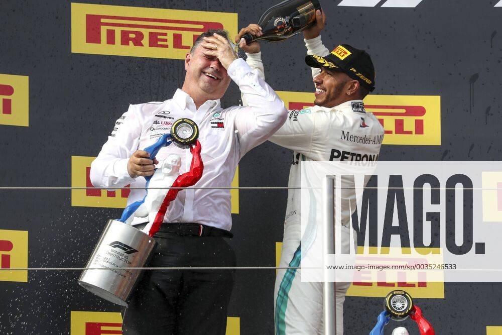 Motorsports: FIA Formula One World Championship WM Weltmeisterschaft 2018, Grand Prix of France, Ron Meadows, 44 Lewis Hamilton (GBR, Mercedes AMG Petronas Motorsport), Le Castellet France