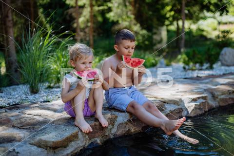 Little chidren sitting near a lake and eating watermelon on hot sunny day during summer vacation. happiness, watermelon, fruit, kid, happy, green, nature, red, food, fun, picnic, healthy, outdoor, joy, health, juicy, eat, girl, childhood, slice, boy, nutrition, cute, sweet, smile, little, eating, cheerful, snack, summertime, caucasian, meal, enjoy, outside, melon, garden, water, delicious, friend, refreshment, holiday, brother, sister, freshness, warm, preschool, siblings