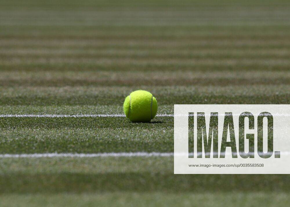 Wimbledon feature tennis ball on the grass close up detail icon