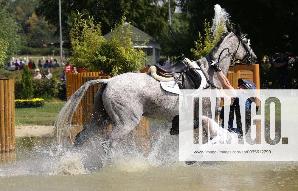 Aachen riding versatility terrain DHL price crash of Oliver Townend GBR on Ballaghmor Class