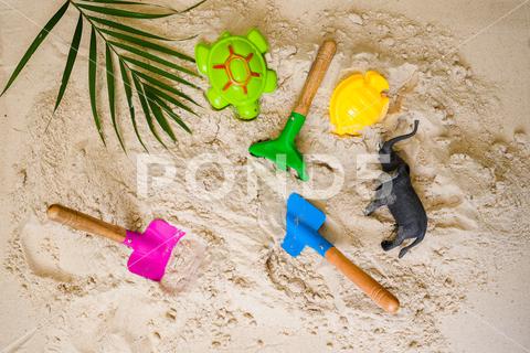 A flat lay of colorful sand toys including shovels and animals on the sand animals, background, beach, children, colorful, concept, elephant, flat lay, instrument, isolated, kids, palm, plant, plastic, play, sand toys, sea, shore, shovels, summer, tools, top view, turtle, vacation