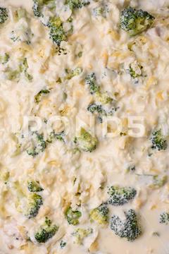 Delicious quiche with broccoli, cheese, chicken, spices and herbs on a dark concrete background broccoli, quiche, food, cheese, vegetable, meal, pie, dinner, crust, lunch, pastry, dish, egg, green, baked, cuisine, tart, snack, homemade, gourmet, french, healthy, kitchen, eating, delicious, breakfast, cooking, cake, fish, cream, table, recipe, traditional, salmon, dough, vegetarian, lorraine, background, rustic, ingredient, spinach, tasty, cooked, appetizer, gratin, wood, organic