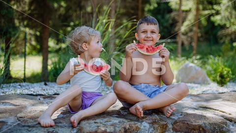 Little chidren sitting near a lake and eating watermelon on hot sunny day during summer vacation. happiness, watermelon, fruit, kid, happy, green, nature, red, food, fun, picnic, healthy, outdoor, joy, health, juicy, eat, girl, childhood, slice, boy, nutrition, cute, sweet, smile, little, eating, cheerful, snack, summertime, caucasian, meal, enjoy, outside, melon, garden, water, delicious, friend, refreshment, holiday, brother, sister, freshness, warm, preschool, siblings