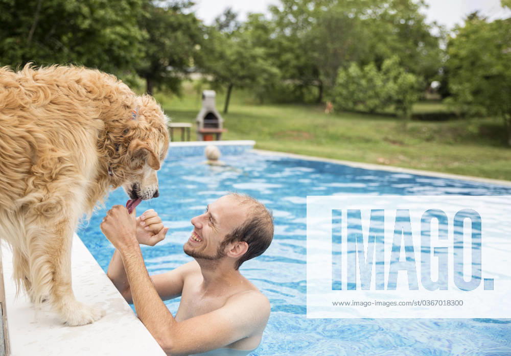 Happy man stroking golden retriever dog and enjoying in swimming pool model released, Symbolfoto property released, MAMF02897