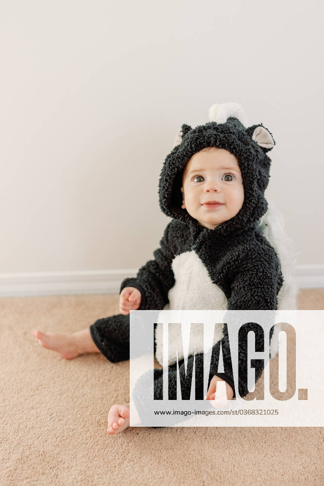 Baby sitting and smiling in skunk animal halloween costume Calgary, Alberta, Canada R_CUYS231126E-1292251-01 ,model released, Symbolfoto