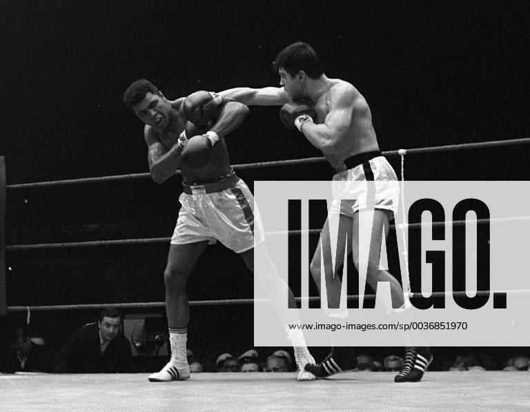 Legendary fight against Ali Karl Mildenberger is dead German box legend Karl Mildenberger dies at the age of 80 in a hospice near Kaiserslautern Archicfoto Muhammad ALI aka Cassius CLAY USA li Boxing Heavyweight in the fight against Karl MILDENBERGER Germany Action Black and white shot Qf a
