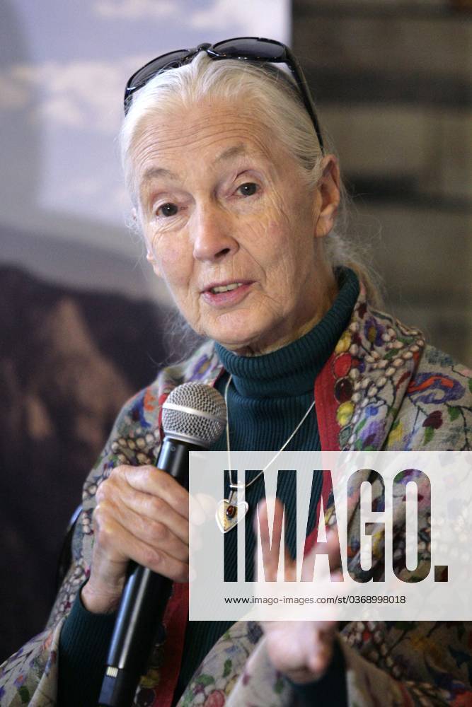 IMAGO ICONS: Jane Goodall E27041604.JPG CIUDAD DE MÉXICO Ecology Ecoogía-Jane Goodall.- La primatóloga y conservacionista británica, Jane Goodall, en conferencia de prensa, el miércoles 27 de mayo de 2016. Foto: Agencia LE UNIVERSAL Iván Stephens JMA