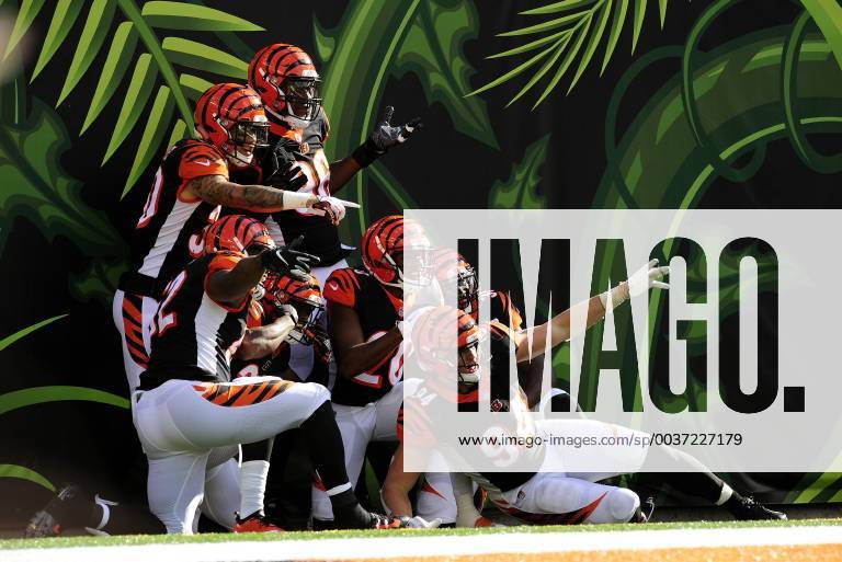 KW43 CINCINNATI, OH - OCTOBER 28: The Cincinnati Bengals celebrate after scoring a touchdown during the NFL American Football Herren USA football game between the Tampa Bay Buccaneers and the Cincinnati Bengals on October 28, 2018, at Paul Brown Stadium in Cincinnati, Ohio. (Photo by Michael Allio Icon Sportswire) NFL: OCT 28 Buccaneers at Bengals Icon116181028030