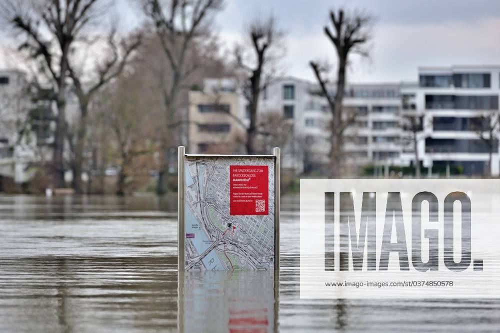 Floods Floods in Mannheim The banks of the Rhine are flooded Trash cans, benches and signs are in the water The highest water level is expected here on Friday around 4 p.m. Mannheim Rhine bank Baden Württemberg Germany