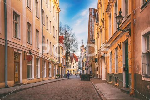 Street in old town. Tallinn, Estonia. Travel nordic concept tallinn old town estonia street architecture europe city building baltic urban house european tourism travel stone capital medieval view traditional outdoor culture history ancient road yellow cobblestone wall tranquil tourist estonian sightseeing sky beautiful heritage touristic