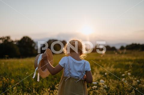 Rear view of adorable little girl with straw hat in hand standing in the middle of summer meadow. Child with curly blonde hair watching sunset. Kids spending summer with grandparents in the countryside. girl happy meadow portrait outdoor sunlight nature kid happiness field vacation holidays grandparents visiting memories childhood fun little cute flower blond white yellow beautiful joy smile caucasian grass evening straw hat overalls landscape meadow flowers hat freedom pretty allergy hair adorable environment natural