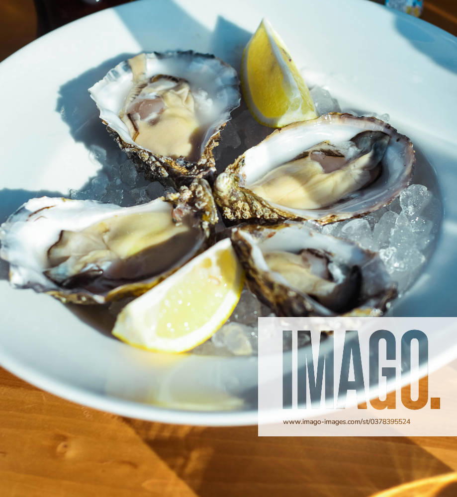Gourmet dish of Mediterranean oysters Lloret de Mar, Catalonia, Spain R_QJZXDZ231219-1310461-01
