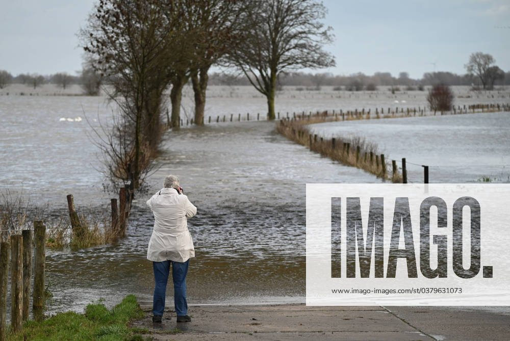 Flood on the Lower Rhine Flood in Germany Photo in Emmerich on the Rhine After long continuous rain on the Lower Rhine, Kleve North Rhine-Westphalia Germany