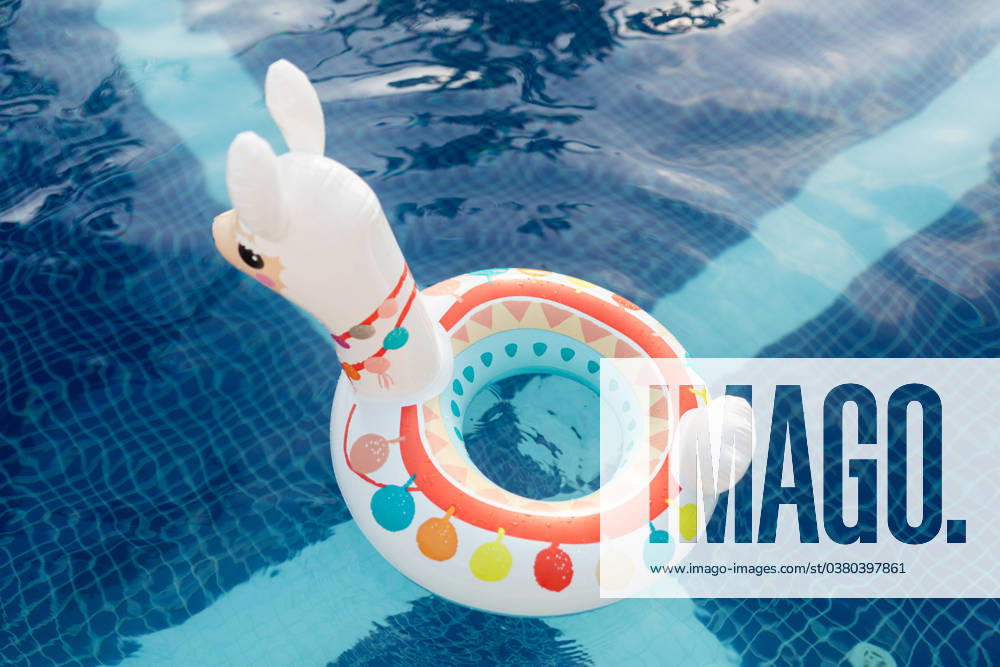 MR_ID18326_15884_MarkStepanov.jpg A cute inflatable llama pool float floats on the crystal-clear water of a swimming pool, under a bright sunny sky Model Released Declaria_ID18326_547723_001