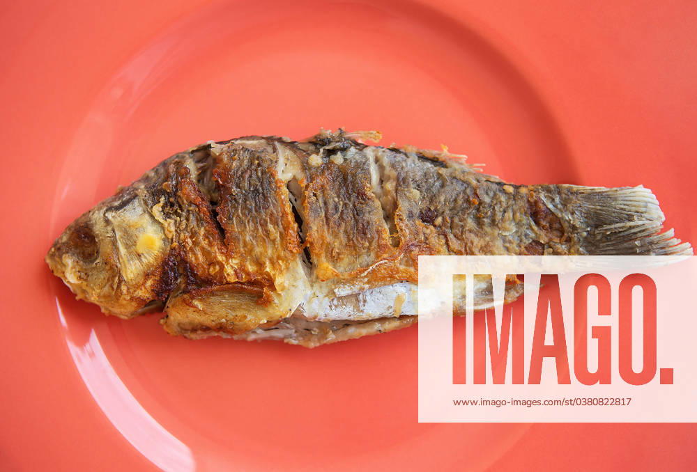 IMAGO Creative, Food, Karpfen-Saison A whole fried carp with a fried crust, served on a bright red plate. View from above. A whole fried carp with a fried crust, served on a bright red plate. View from above
