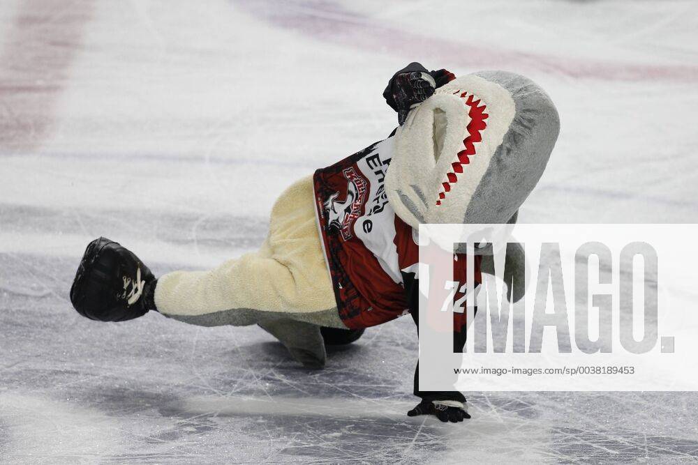DEL Koelner Haie Fischtown Pinguins Bremerhaven 06 01 2019 Sharky DEL Koelner Haie Fischtown Pinguins Bremerhaven 06 01 2019 in the Lanxessarena in Cologne Germany