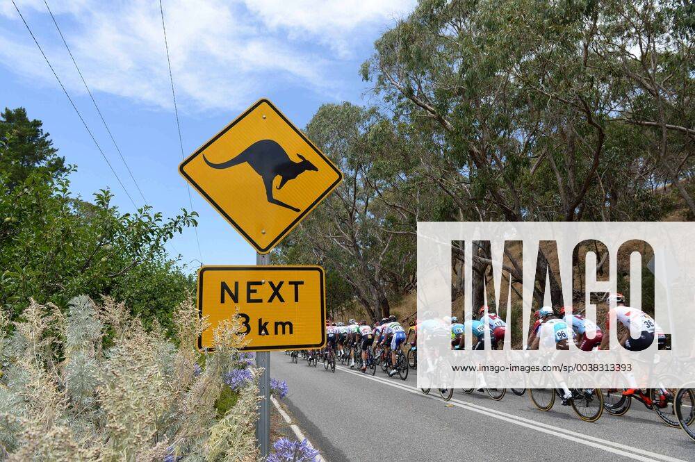 Tour Down Under; Tappa 01 North Adelaide - Port Adelaide;