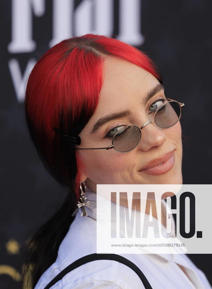 Billie Eilish on the red carpet of the 29th Critics Choice Awards on Sunday January 14, 2023 at the Barker Hanger in Santa Monica, California. JAVIER ROJAS Santa Monica U.S - ZUMAp124 20240114_zaa_p124_008