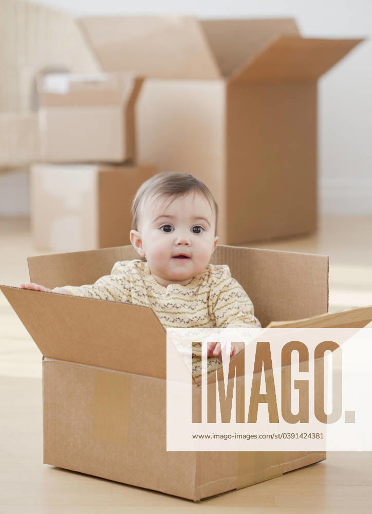 Mixed race baby girl sitting in cardboard box Jersey City, NJ, 21.12.2023, model released, TTBB_BLD073640.jpg, 6-11 months, achievement, arms outstretched, baby, baby girl, beginnings, box, cardboard box, change, childhood, color image, curiosity, discovery, domestic life, exploring, fragile, front view, head and shoulders, humor, indoors, innocence, inside, life events, looking at camera, milestone, mixed race person, moving, moving house, moving in, new house, one baby girl only, one person, organizing, packing, people, photography, playful, playing, portrait, sitting, transition, vertical, minority, minorities, etherealaccomplishment, action, active, amusing, arranging, cardboard, carton, child, children, color, colour, comedy, containe