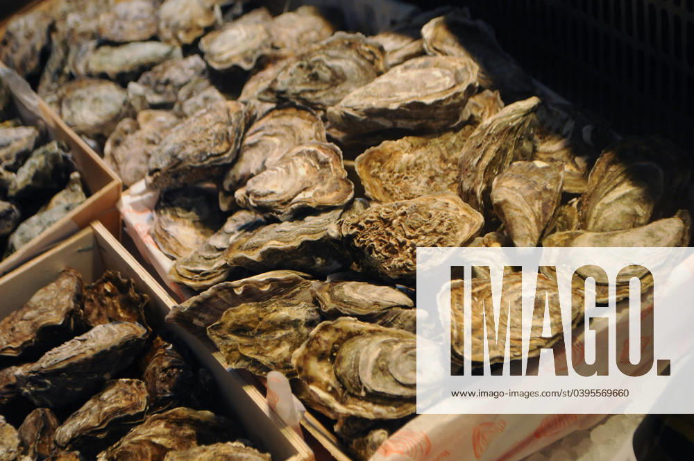 Copenhagen, Denmark 24 January 2024 .Sea food oysters are on sale in danish capital Copenhagen. (Photo.Francis Joseph Dean Dean Pictures)