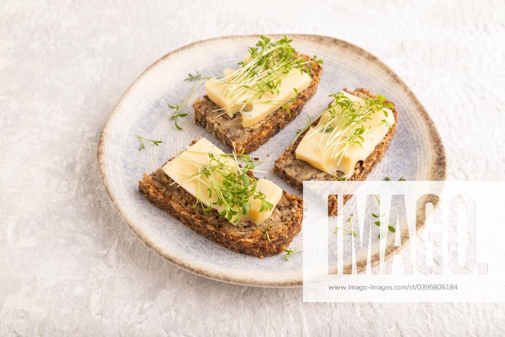 Grain bread Sandwiches with Cheese and Watercress microgreen at grey Concrete Background Side view, Close-up