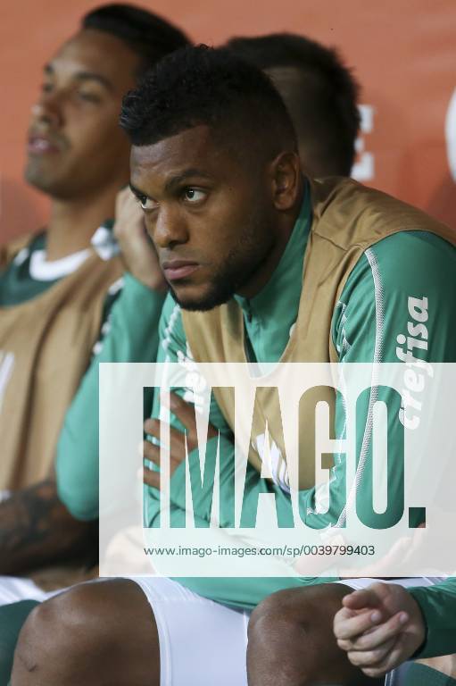 Palmeiras x Junior Barranquilla SÃO PAULO, SP - 10.04.2019: PALMEIRAS X JUNIOR BARRANQUILLA - Borja do Palmeiras during the match between Palmeiras and Junior Barranquilla held at Allianz Parque in São Paulo, SP. The match is valid for the fourth round of Group F of the Copa Libertadores 2019. (Photo: Marco Galvão Fotoarena) x1713684x MarcoxGalvão