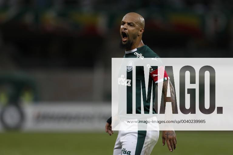 Palmeiras x San Lorenzo ARG SÃO PAULO, SP - 08.05.2019: PALMEIRAS X SAN LORENZO ARG - Felipe Melo during the match between Palmeiras and San Lorenzo-ARG held at Allianz Parque, West Zone of São Paulo. The match is valid for the 6th round of the group stage of Group F of the Libertadores of America 2019. (Photo: Ricardo Moreira Fotoarena) x1728590x RicardoxMoreira
