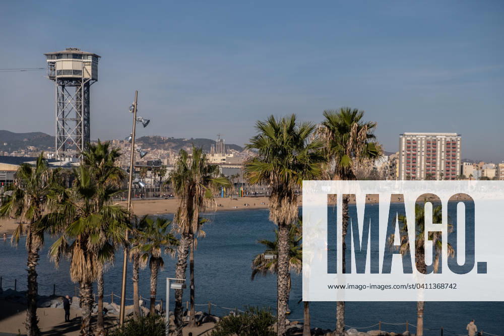 A group of thirsty palm trees, a picturesque species of Barcelona s beaches, are seen over the city. Catalonia has entered the emergency phase of water resources due to persistent drought due to the absence of rain. In the fifth phase of emergency, extraordinary restrictions and limitations are established on the uses of water, such as the prohibition of irrigation of green areas or the closure of showers, which already visibly affects public areas. Barcelona Spain - ZUMAs197 20240203_aab_s197_056